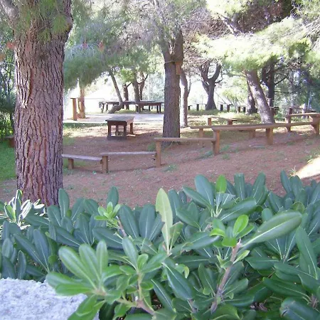 Trilocale 83 La Giungla Διαμέρισμα Falerna